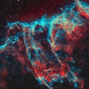 Meet your Posher, Kayler